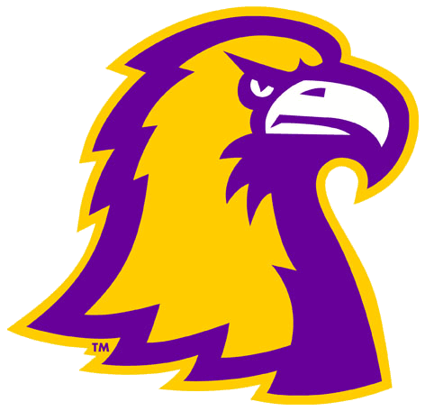 Tennessee Tech Golden Eagles 2006-Pres Alternate Logo v4 iron on transfers for clothing